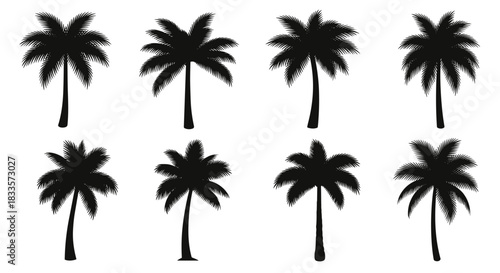 Collection of eight distinct black palm tree silhouettes against a white background.