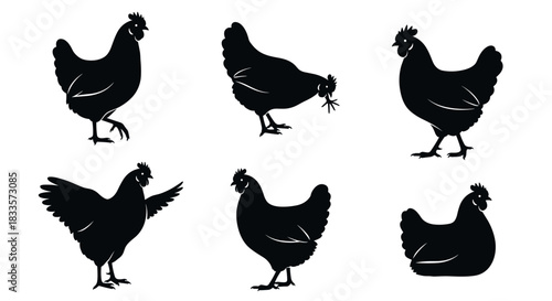 Collection of Six Black Chicken Silhouettes in Various Poses.