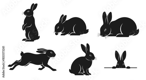 Set of Black Rabbit Silhouettes in Various Poses.