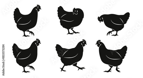 Set of six black chicken silhouettes in different poses on a white background.