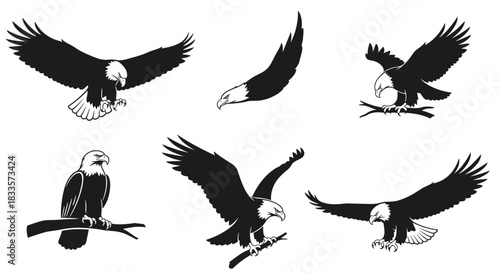 Collection of Bald Eagle Silhouettes in Various Poses.