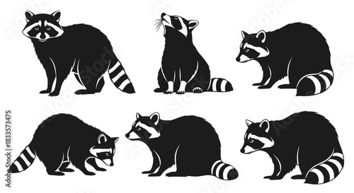 Set of six black silhouette raccoons in different poses on a white background.