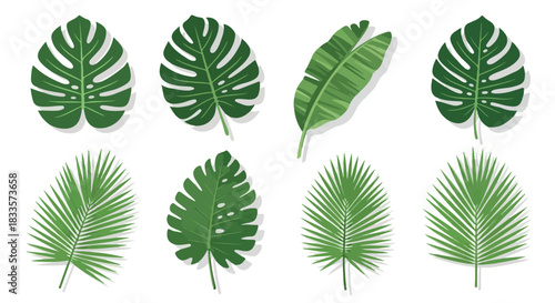 Tropical leaves collection with transparent background