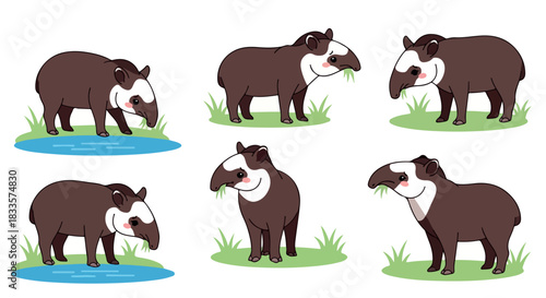 Tapirs in various poses with transparent background