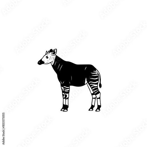 Okapi Illustration Zebra Relative