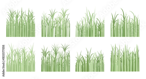 Green grass collection with transparent background