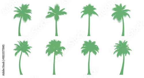 Palm tree silhouettes with transparent background