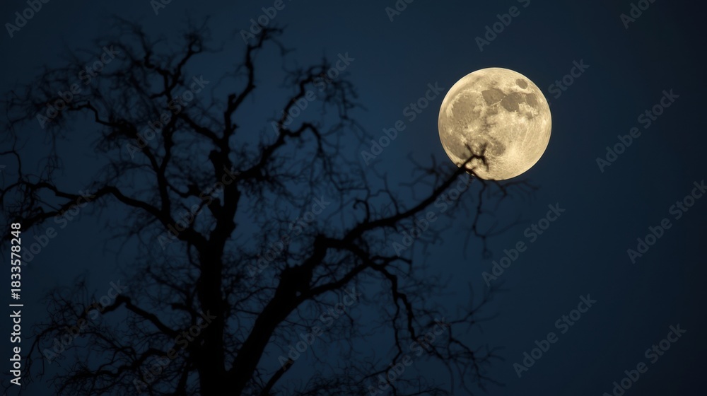 Naklejka premium Full moon shining brightly behind silhouetted bare tree branches at night