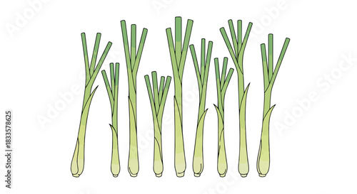 Bunch of fresh green scallions with transparent background