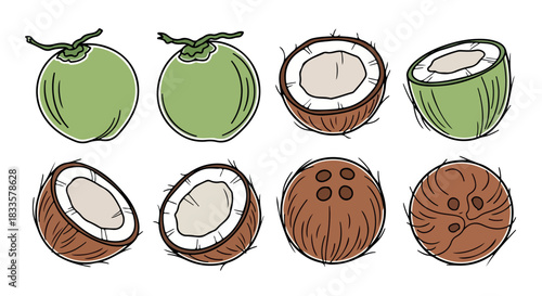 Coconut fruit slices and halves with transparent background
