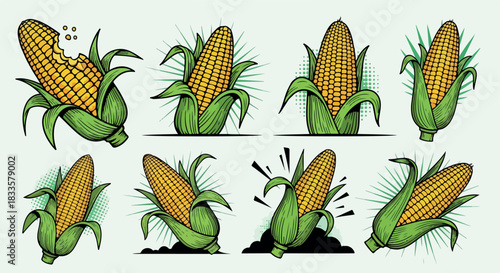 Corn on the cob collection with transparent background
