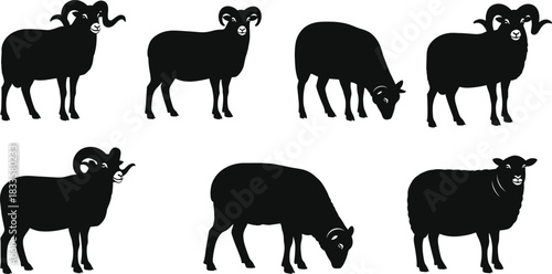 Here is a title and a comprehensive set of keywords for the provided vector illustration of a children's zip-up hoodie, optimized for SEO on Adobe Stock.