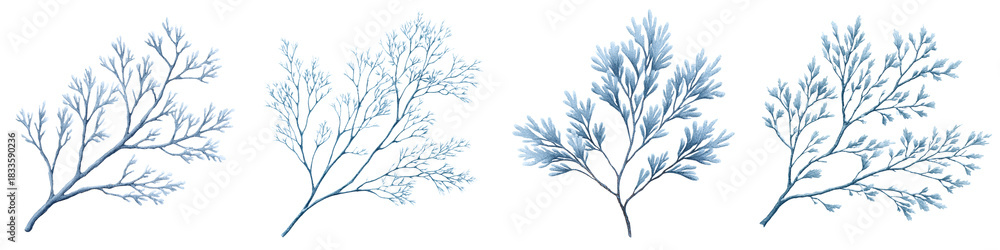 Naklejka premium Blue Cedar Branch Collection: Watercolor Style Illustrations