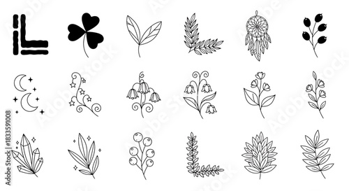 Collection of Botanical and Celestial Doodle Elements for Design.