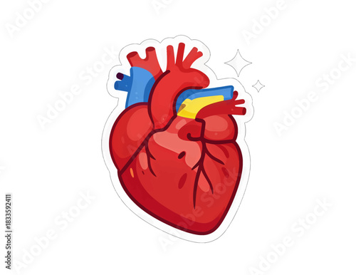 Anatomical Heart with Ukraine Flag in Flat Design