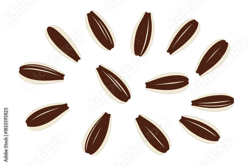 Dark Brown and Beige Sunflower Seeds Illustration