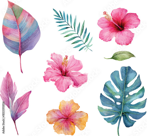 set of pink hibiscus and green leaves