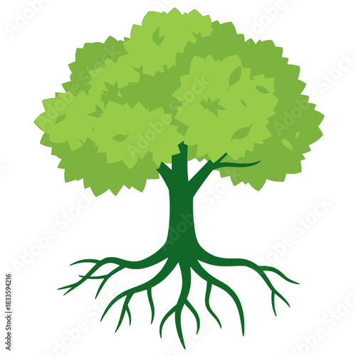 Green Tree Illustration with Roots