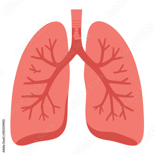 Human Lungs Healthy Respiratory System Vector Illustration