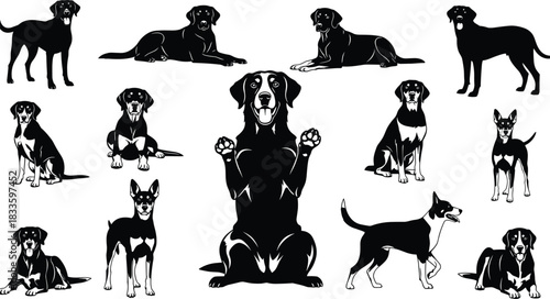 Large set of thirteen diverse dog silhouettes in multiple dynamic poses and breeds, including Labrador and Terrier, useful for veterinary, pet care, breeding, and animal rescue design proj on white.