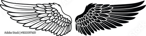 Vector illustration of a pair of decorative spread wings, one in black outline and one solid fill, symbolizing freedom, divinity, angel mythology, flight