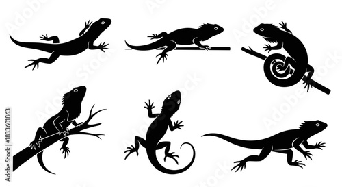 Collection of Six Black Lizard Silhouettes in Various Poses.