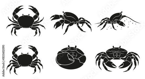 Collection of Six Black Crab Silhouettes on White Background.