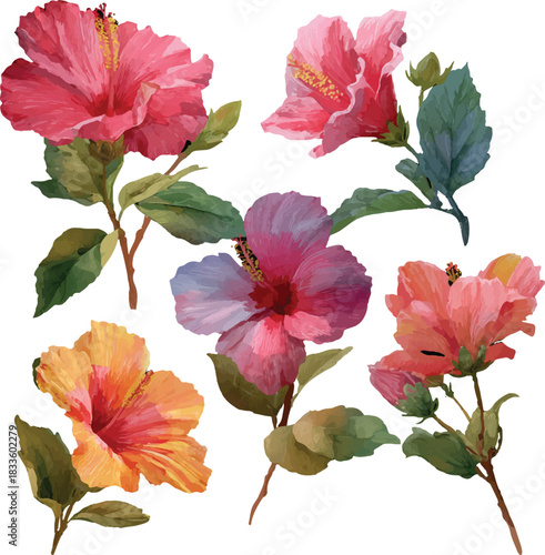 collection of flowers