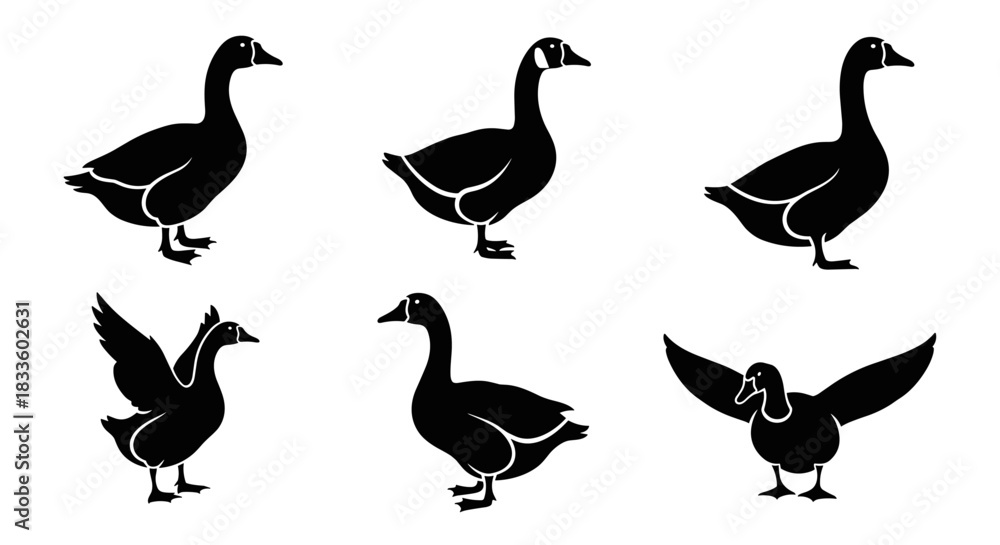 Obraz premium Collection of Six Black Goose Silhouettes in Various Poses.