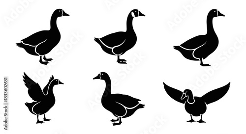 Collection of Six Black Goose Silhouettes in Various Poses.