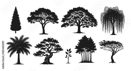 Collection of Diverse Tree Silhouettes in Various Styles.