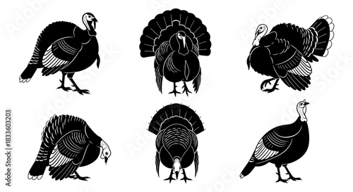Set of six black and white turkey illustrations in various poses.