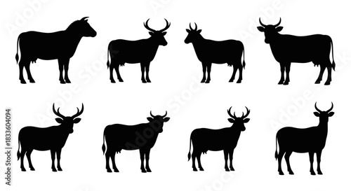 Collection of Diverse Cattle Silhouettes Standing Proudly.