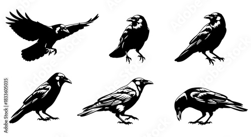 Collection of six black crows in various poses and actions.