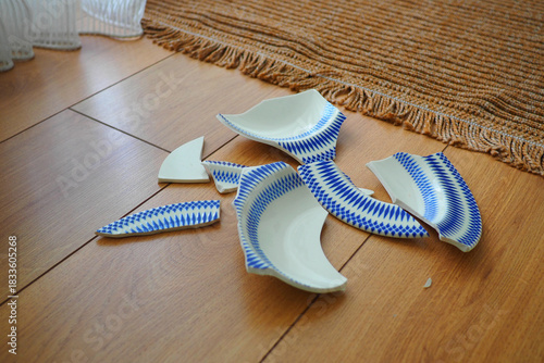 Broken plates scattered on a wooden floor in a bright room