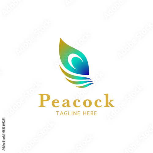 peacock feather logo design vector illustration