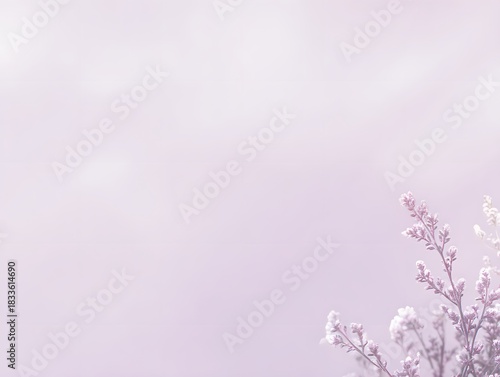 Light pastel purple with gentle vignette, clean lower third perfect for brand message