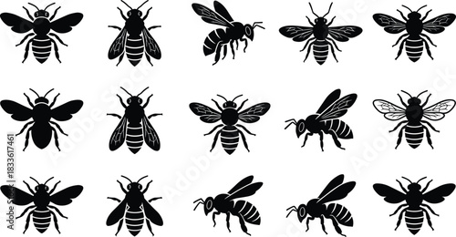 Bee silhouette, flying bee, insect vector, black shape, nature icon, honeybee design, top view, profile pose, isolated graphic, swarm motion