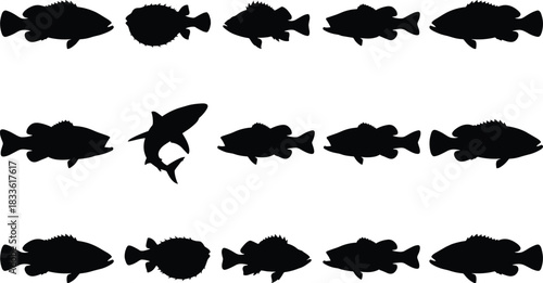 Black Silhouette Illustration of Fish Rows Featuring Odd-One-Out Visual Puzzle for Educational, Cognitive, and Marine Life Vector Use