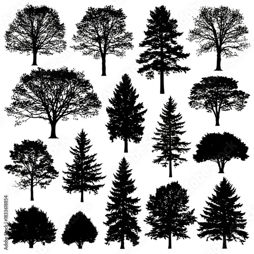 Collection of various types of trees with different shapes and sizes isolated on