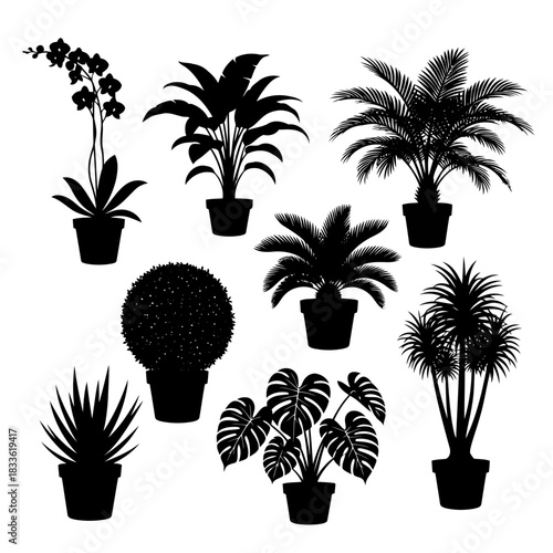 Black and white illustration of various potted plants including palm trees and succulents
