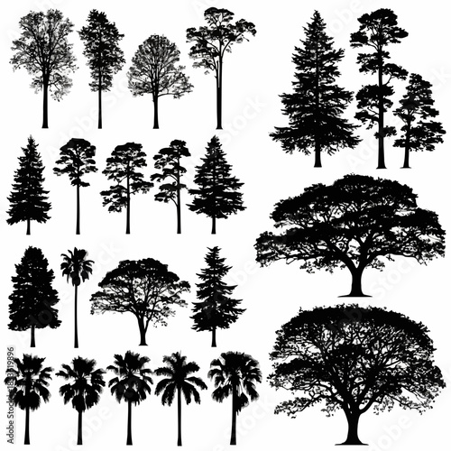 Various types of trees with different shapes and sizes isolated on