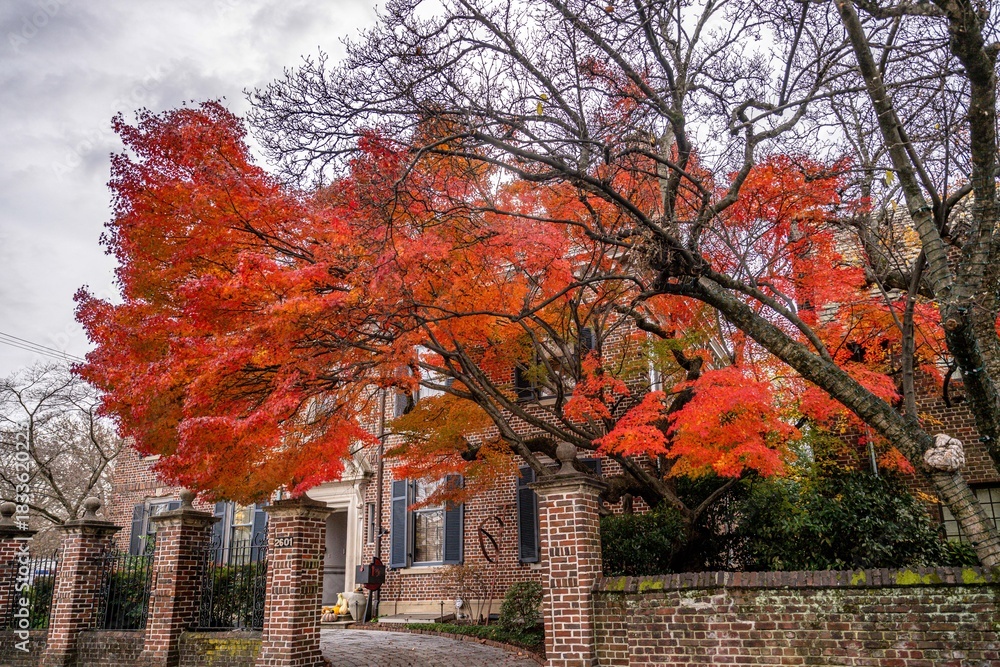 Naklejka premium Richmond, Virginia