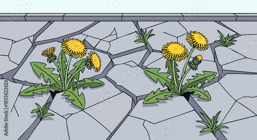Dandelions growing through sidewalk cracks, urban nature resilience with growing through cracks and sidewalk plant cluster, suitable for poster design, article header, and eco-themed product mockup.
