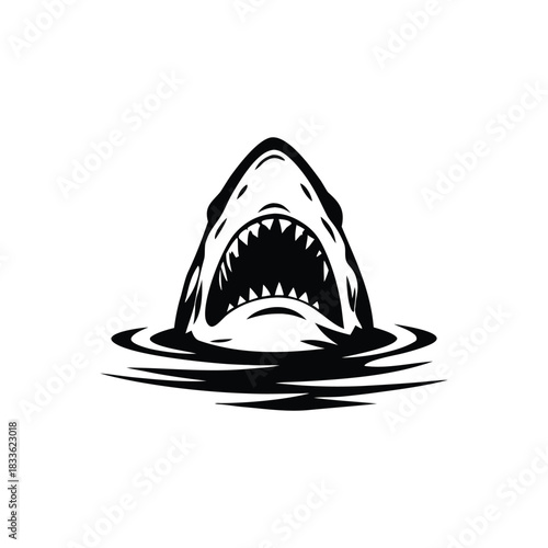 Black and white illustration of a shark emerging with ferocious jagged teeth vector hand drawn image