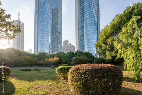Photography city park with modern building background in shanghai