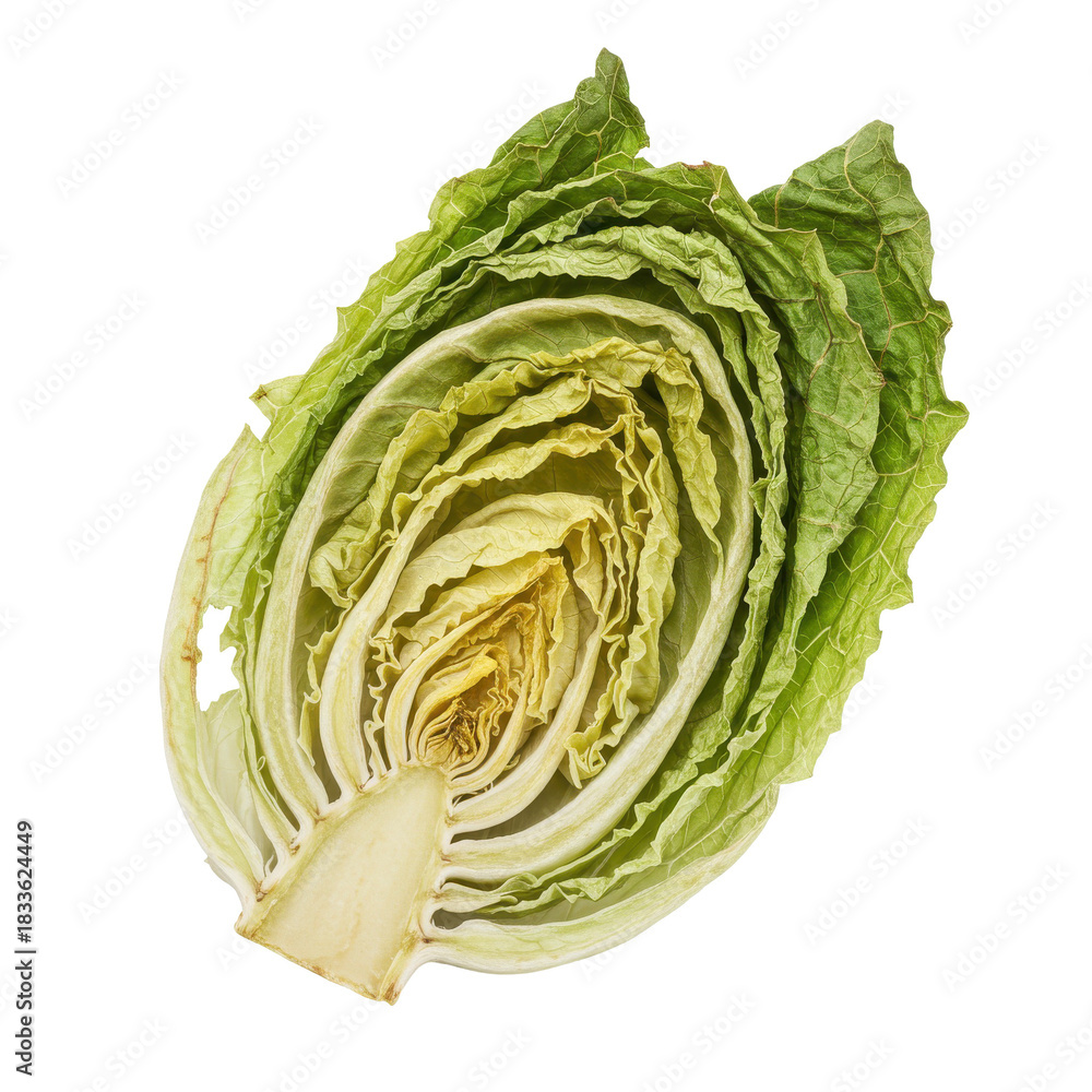 Obraz premium Halved napa cabbage, detailed cross-section view isolated on white background