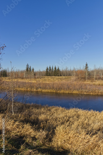 A Sunny Autumn Day at Pylypow