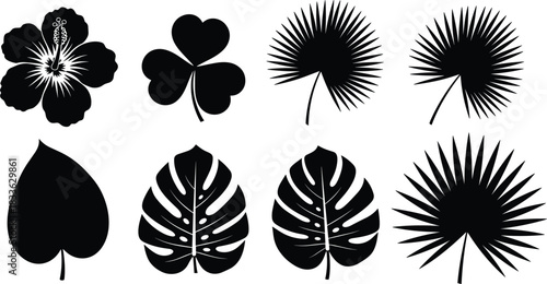 Tropical leaves and flower silhouette set, hibiscus, clover, monstera and palm fronds, black vector botanical icons collection isolated on white background.