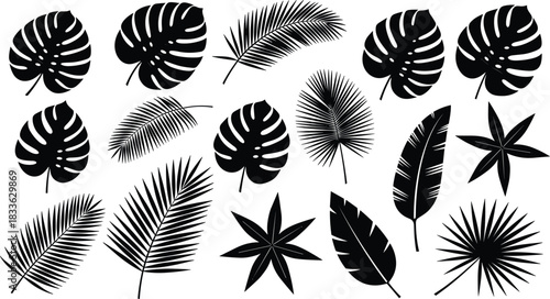 Tropical leaves silhouette vector set, monstera and palm fronds, black jungle foliage icons, isolated on white background, summer nature design elements collection.